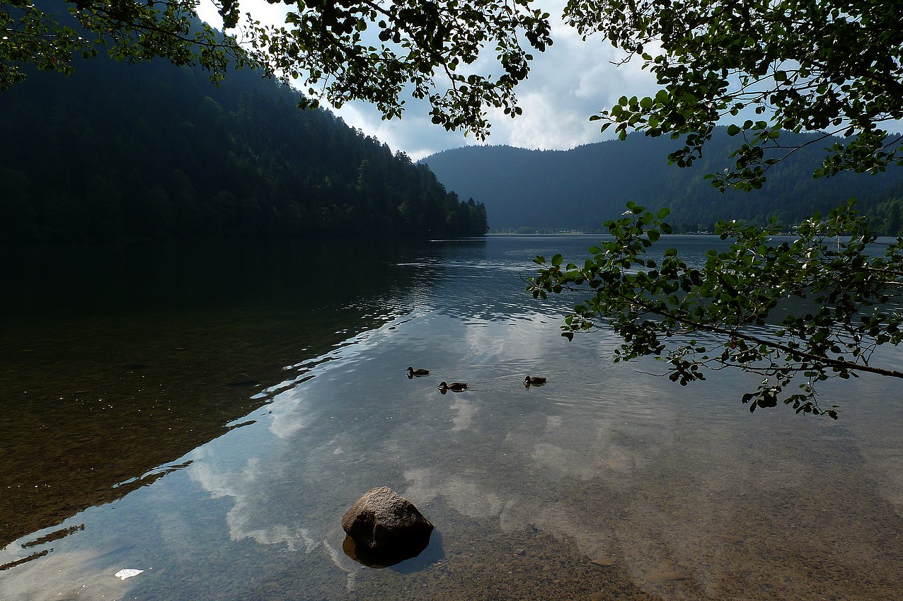 Lac de Longemer