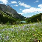 Lac de l'Orceyrette