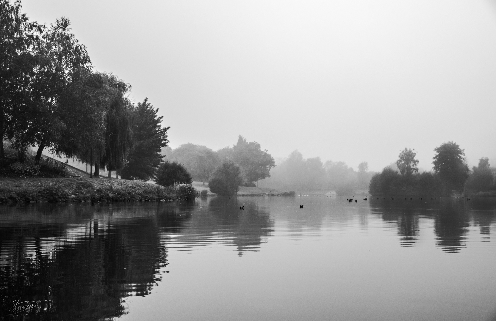 Lac de Louvain-la-neuve