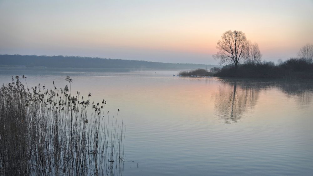 Lac de Madine