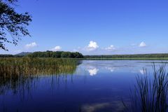 Lac de Madine