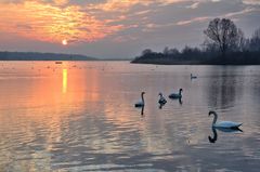 lac de madine 28.3.13 -1