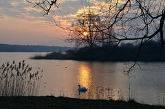 lac de madine 28.3.13 -2-