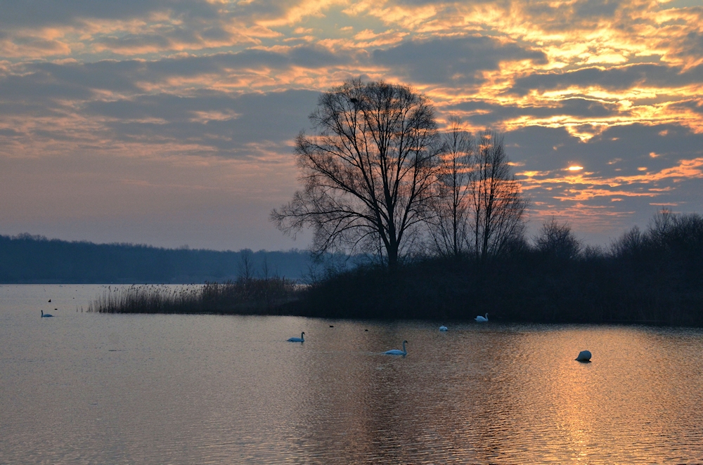 lac de madine 28.3.13 -4-