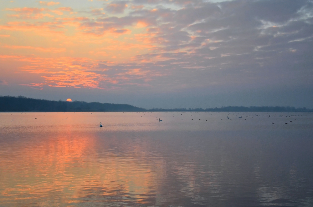 lac de madine 28.3.13 -5-