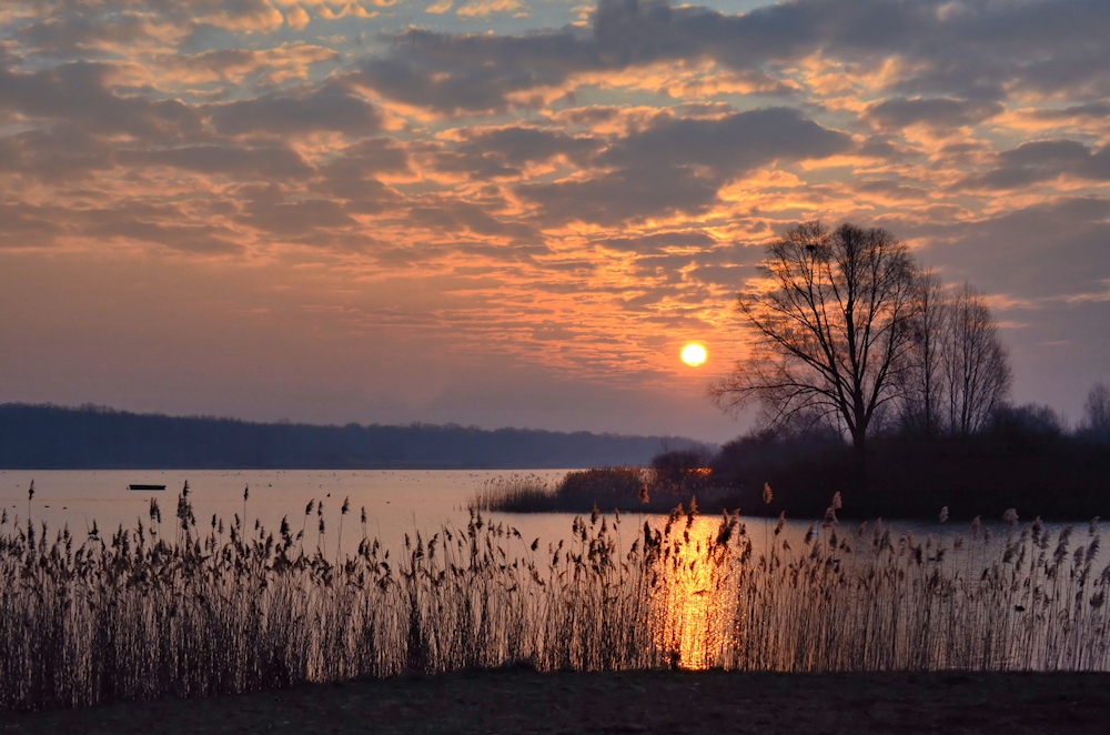 lac de madine 28.3.13 -6-