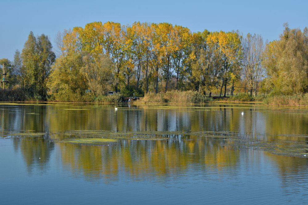 Lac de Madine