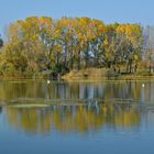 Lac de Madine