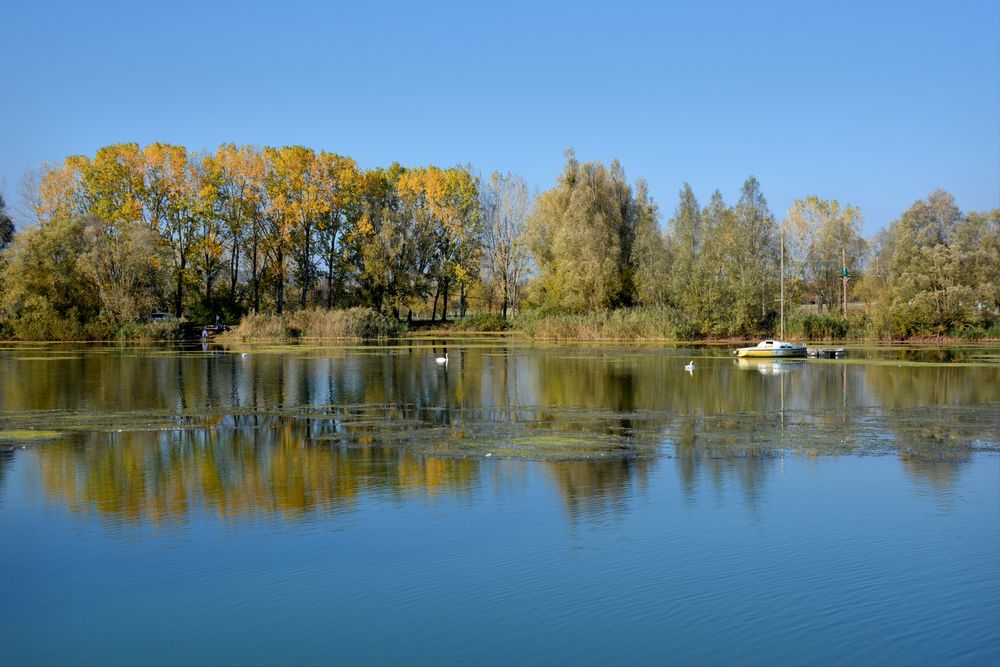 Lac de Madine