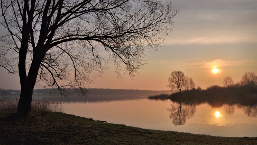 Lac de Madine