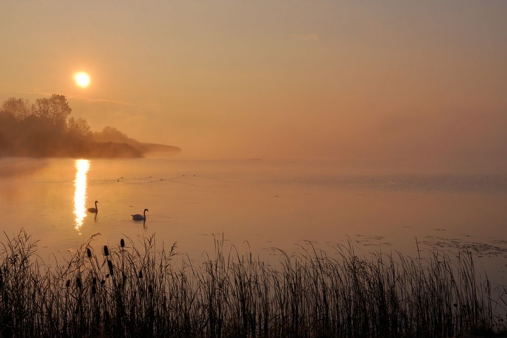 Lac de Madine