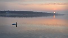 Lac de Madine