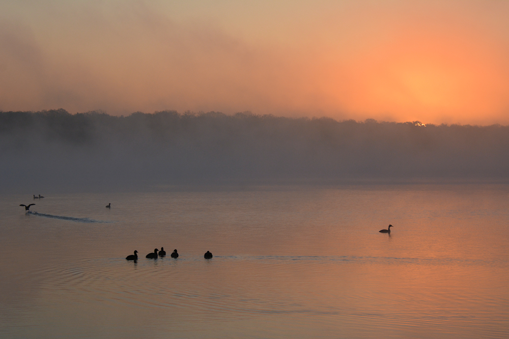 Lac de Madine-5