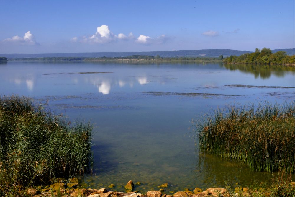 Lac de Madine