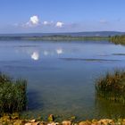 Lac de Madine