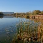 Lac de Madine