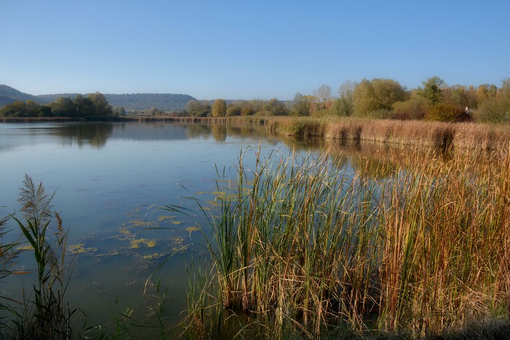 Lac de Madine