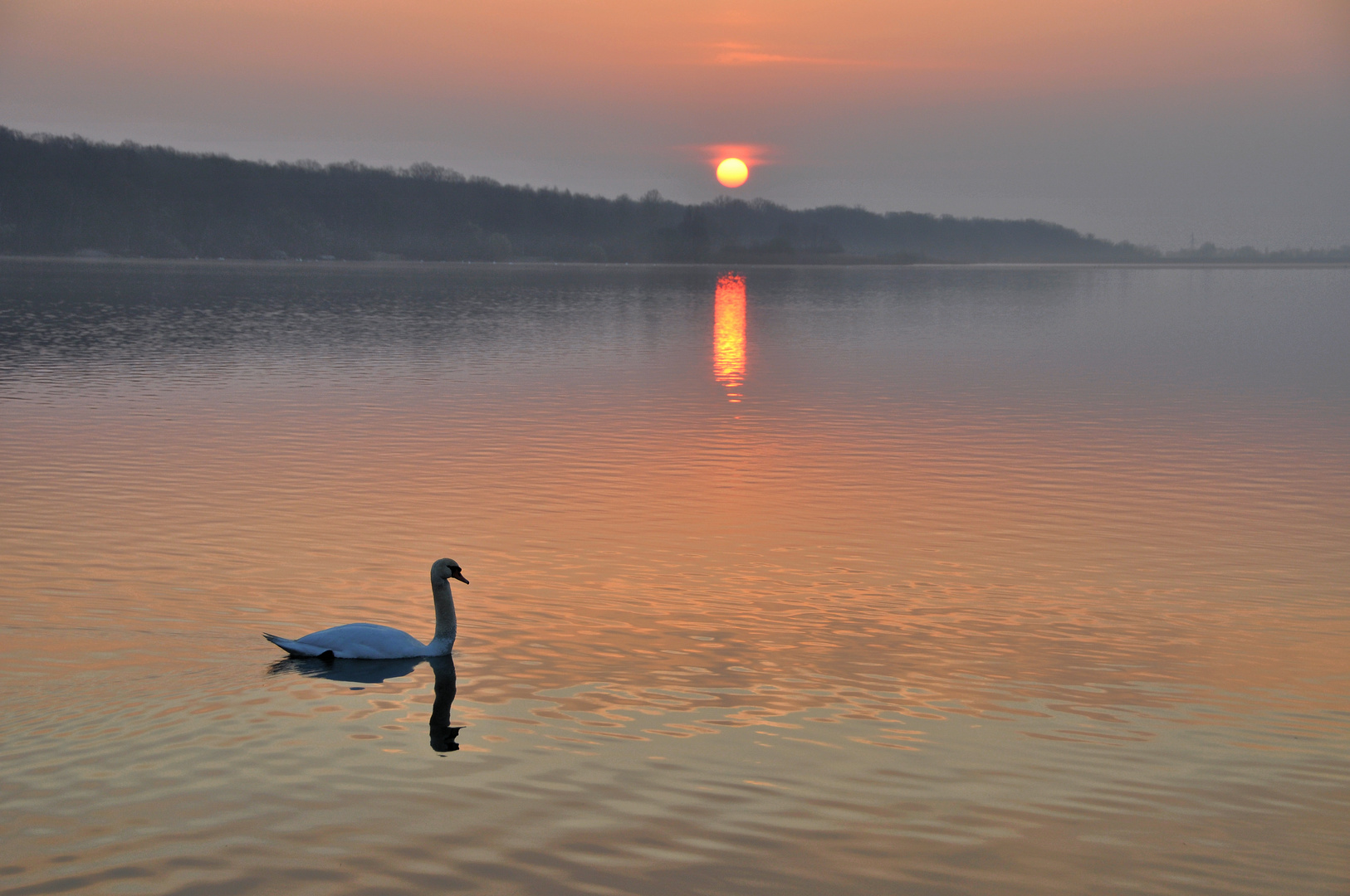 Lac de Madine