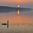 Lac de Madine