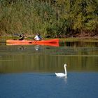 Lac de Madine