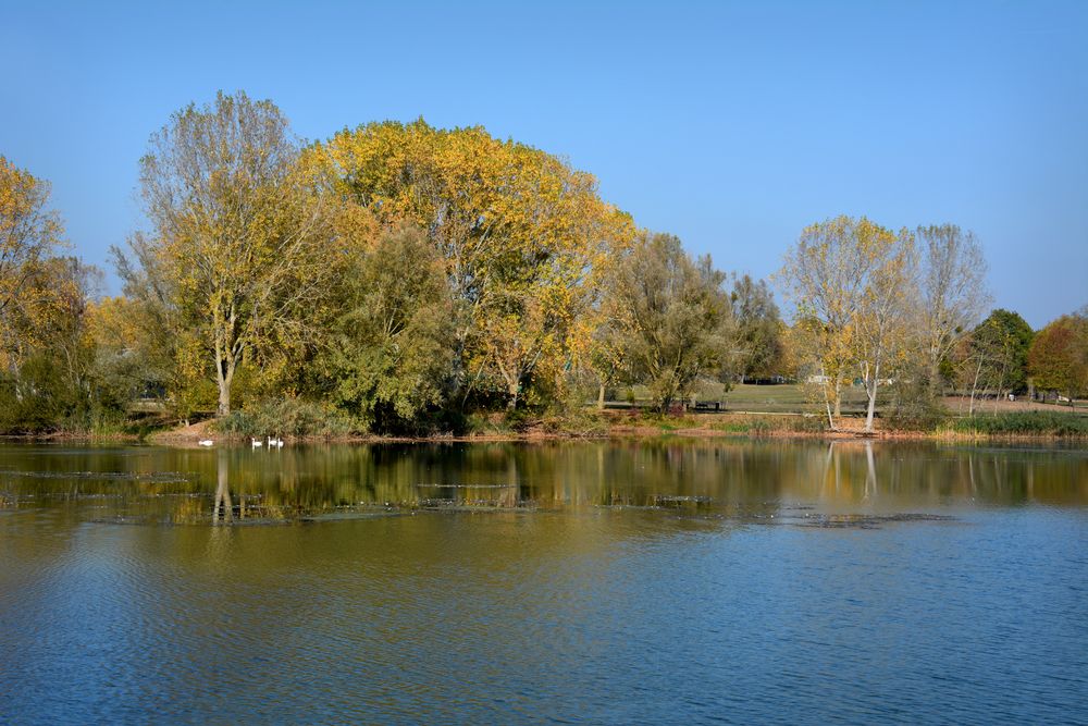 Lac de Madine