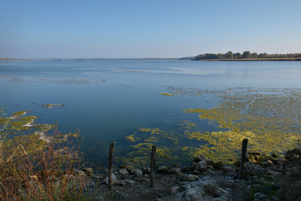 Lac de Madine