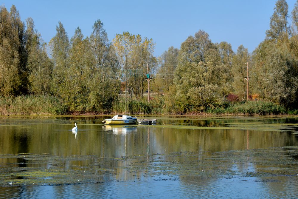 Lac de Madine