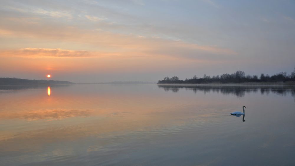 Lac de Madine