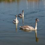 Lac de Madine