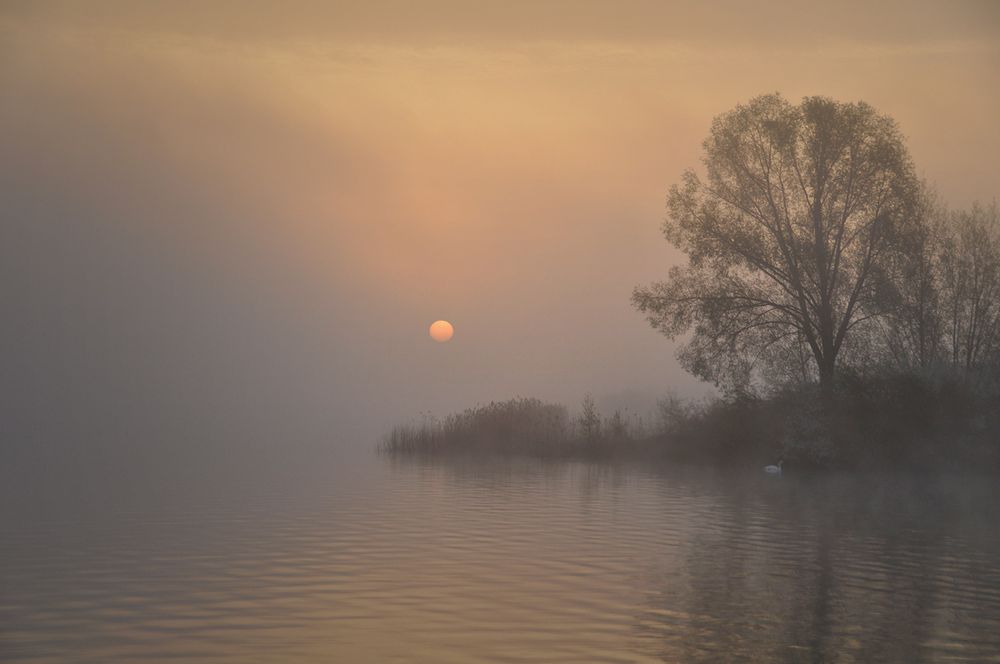 Lac de Madine