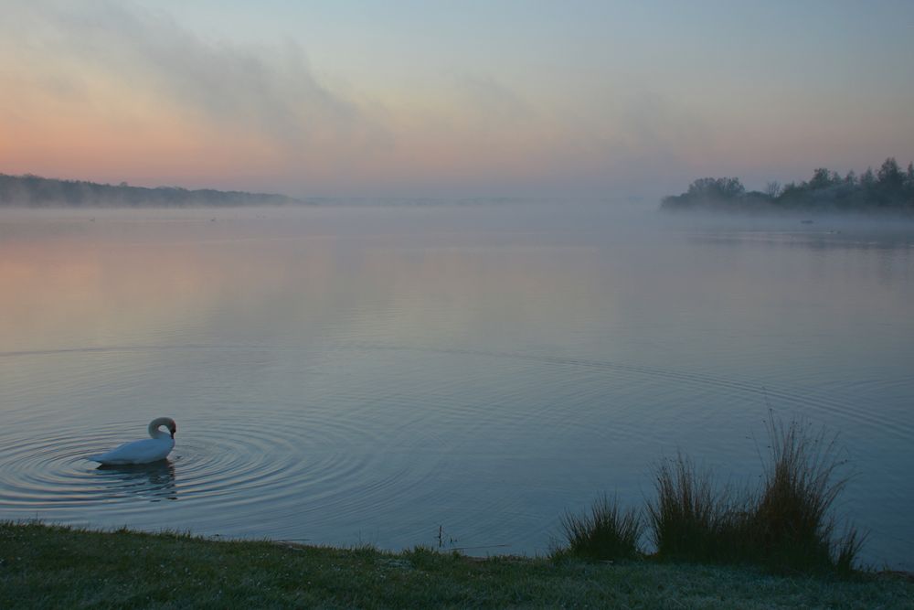 lac de Madine