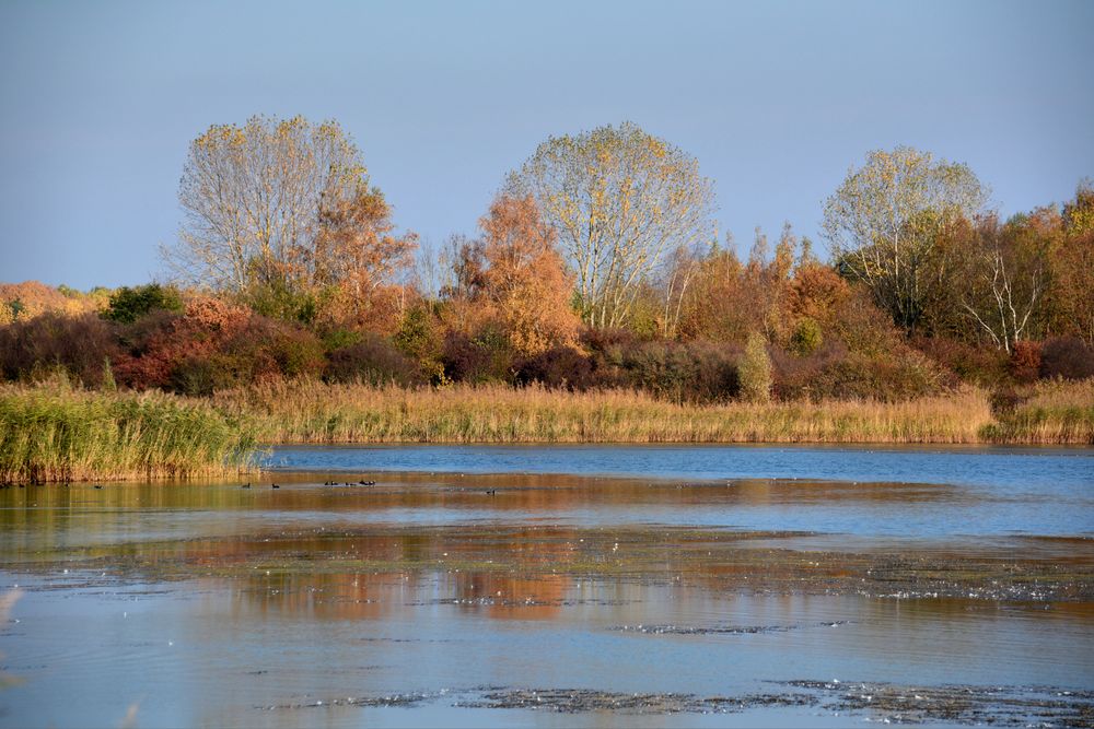 Lac de Madine