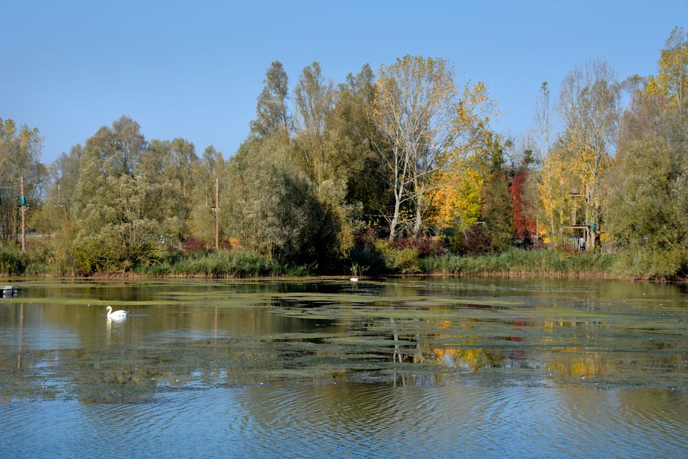 Lac de Madine