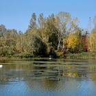 Lac de Madine