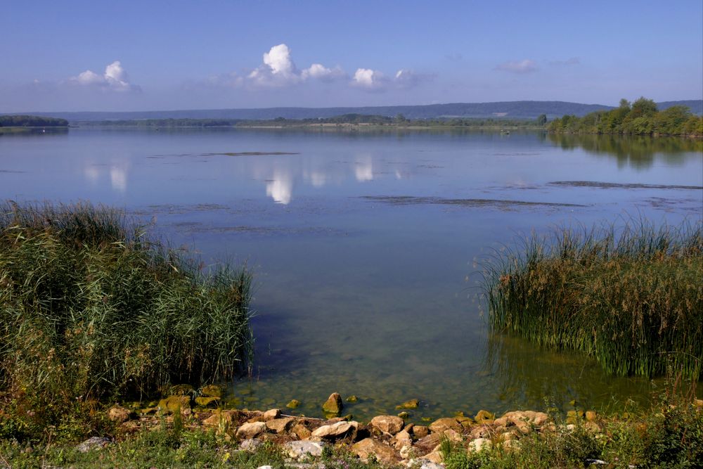 Lac de Madine