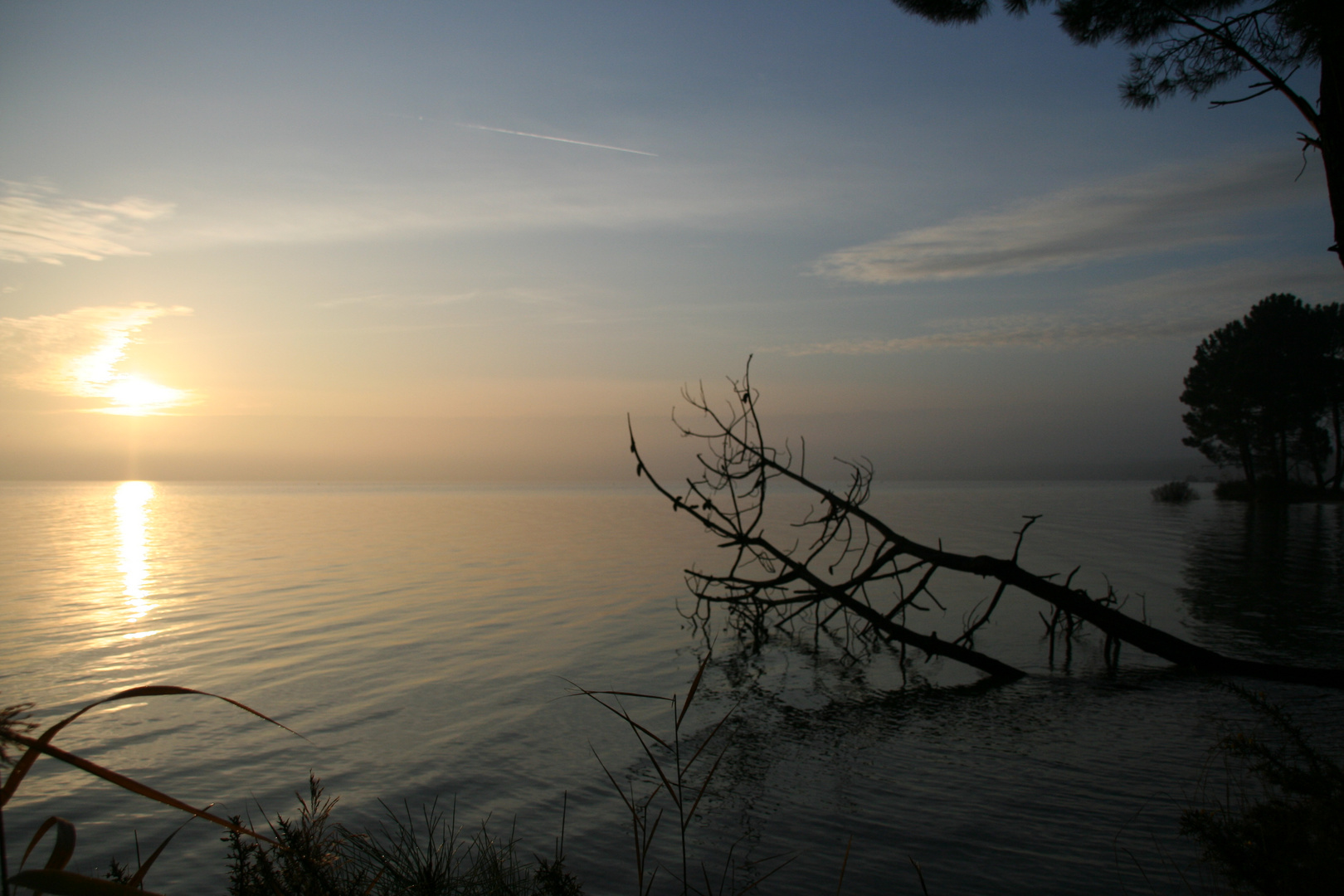 lac de maguide BISCAROSSE un 1er leve de soleil le 1 janvier 2009