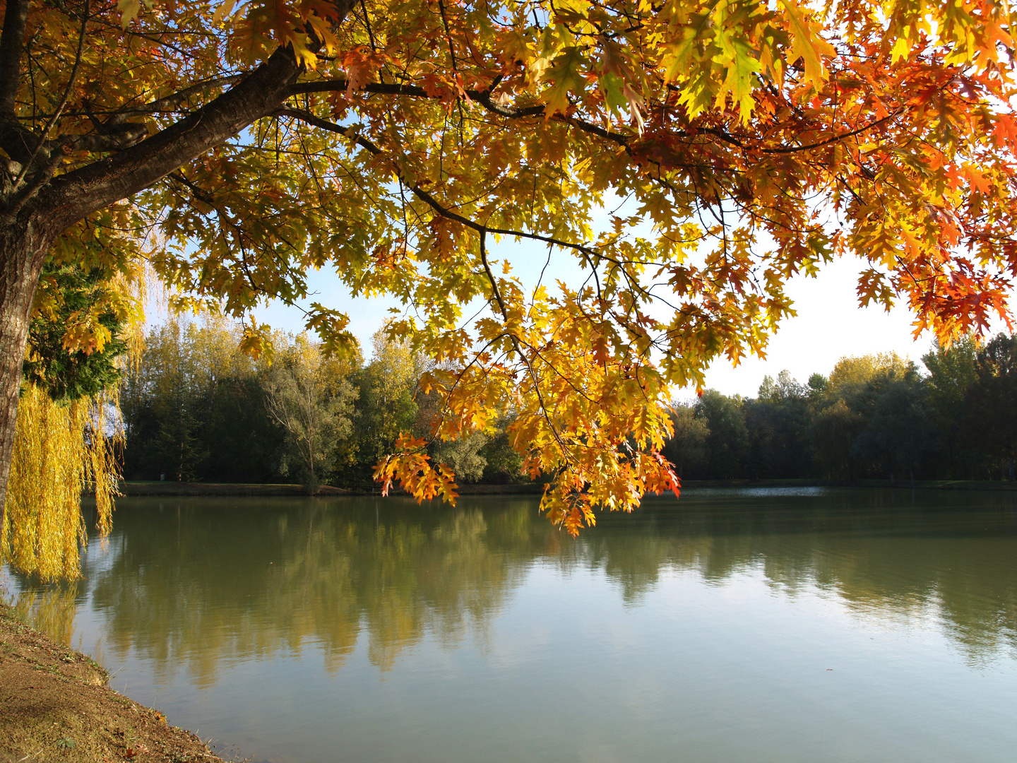 Lac de Mauvezin à l’automne - Gers