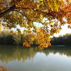 Lac de Mauvezin à l’automne - Gers