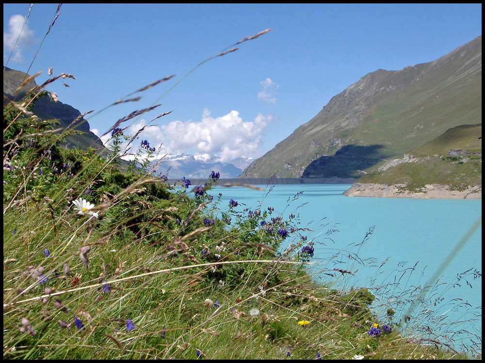 Lac de Moiry VS