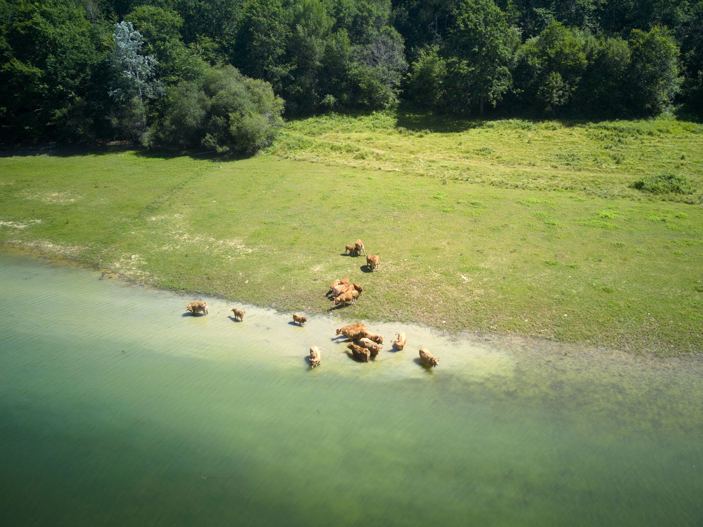 Lac de Mondély