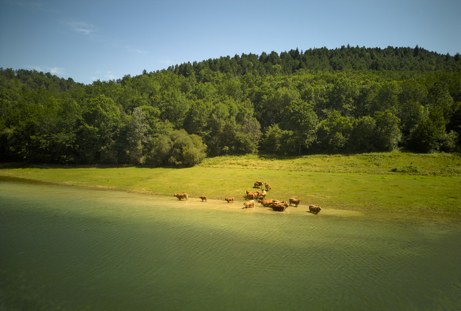 Lac de Mondély