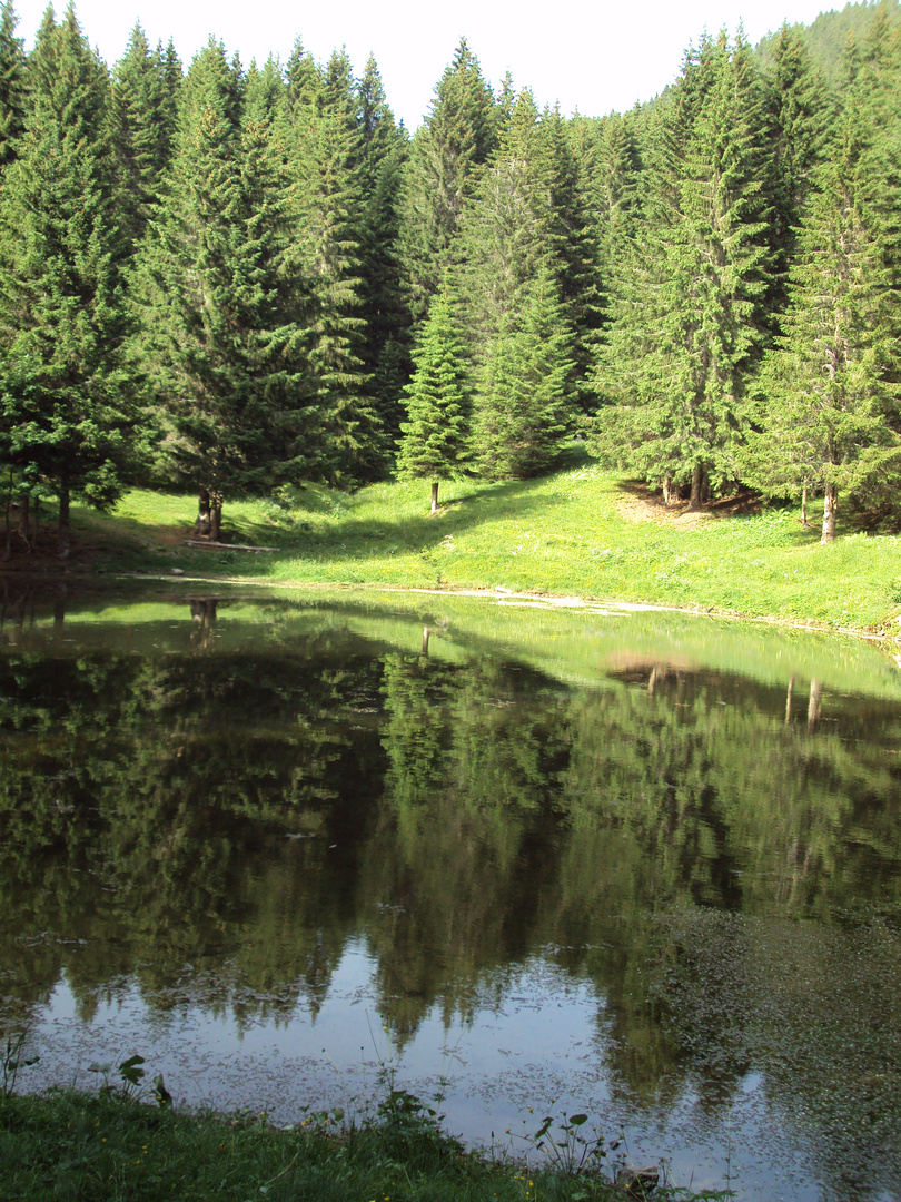 lac de montagne