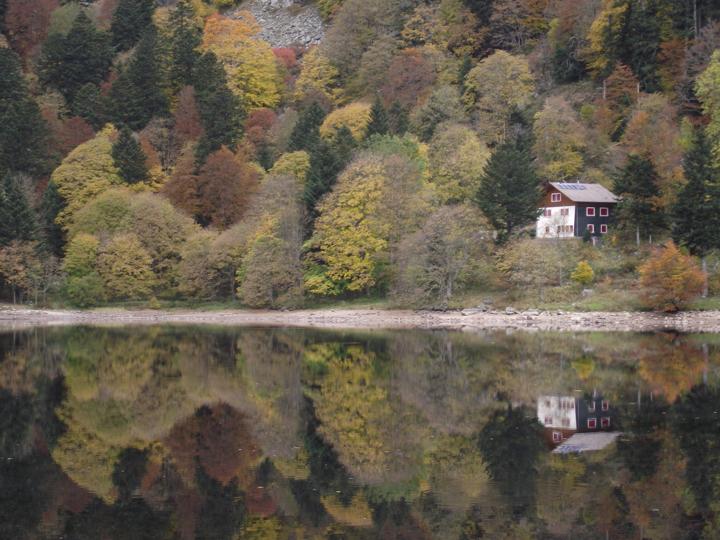 lac de montagne