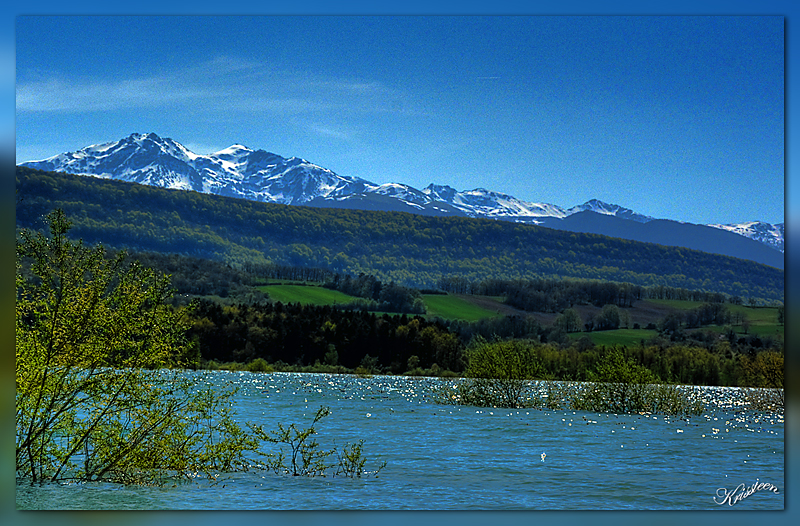 Lac de Montbel