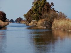 lac de nassaciuccoli, torre del lago