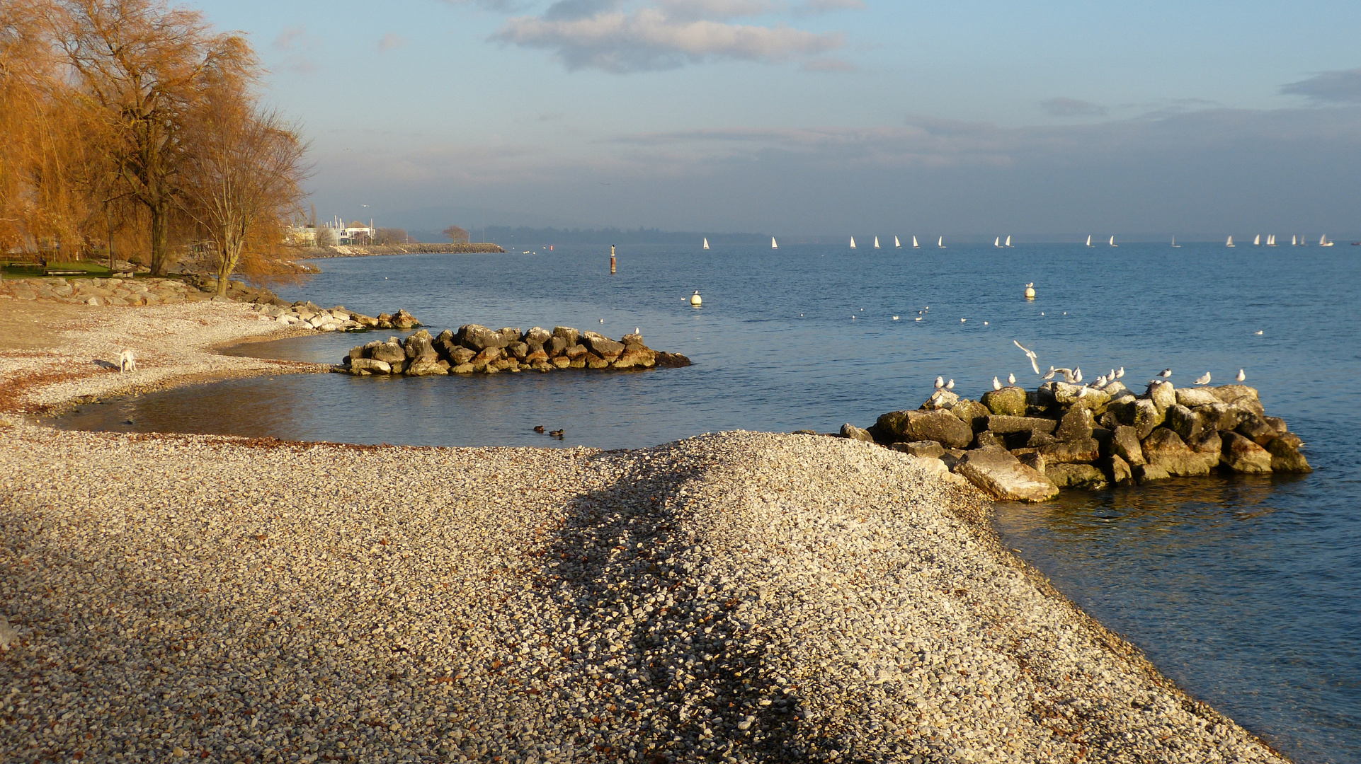 Lac de Neuchatel