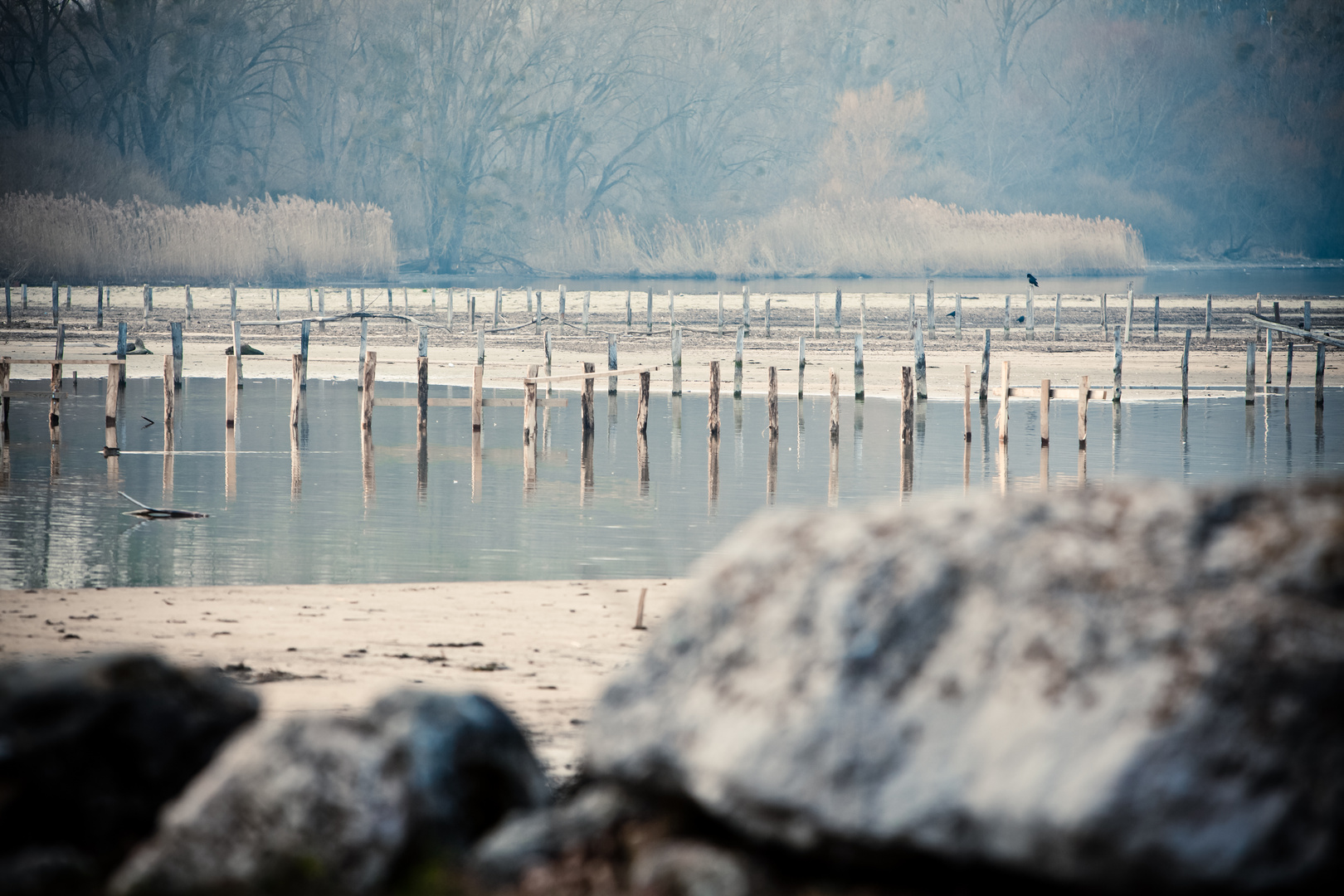 Lac de Neuchâtel