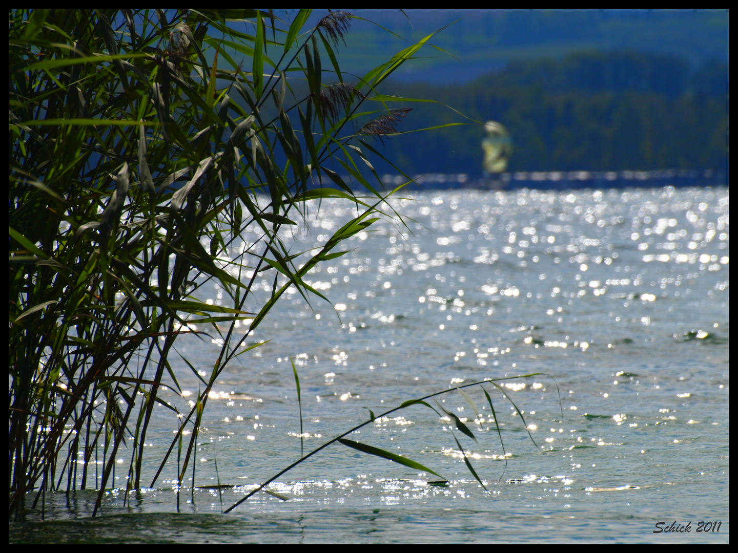 Lac de Neuchâtel Suisse