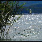 Lac de Neuchâtel Suisse