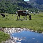 "LAC DE NINO"